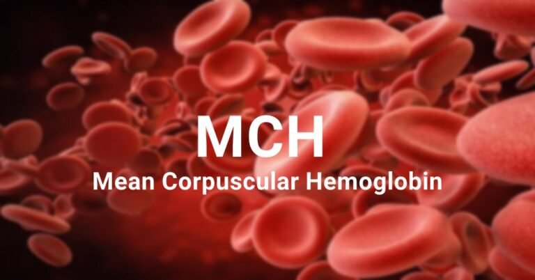 Mean Corpuscular Hemoglobin mch featured image