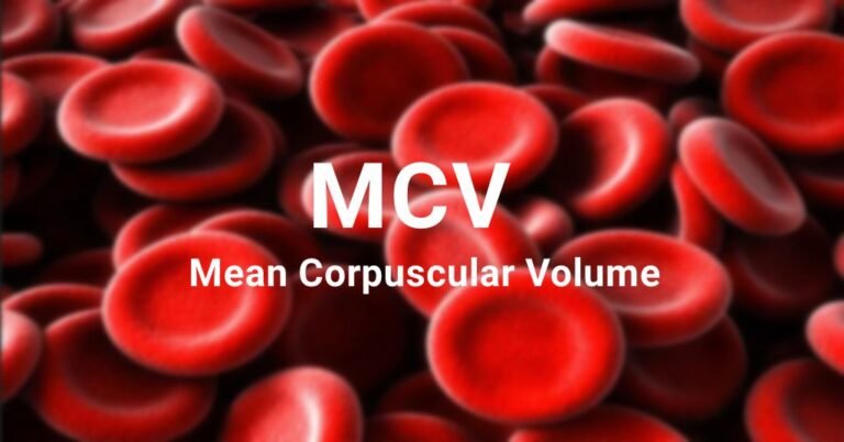 Mean Corpuscular Volume mcv featured image