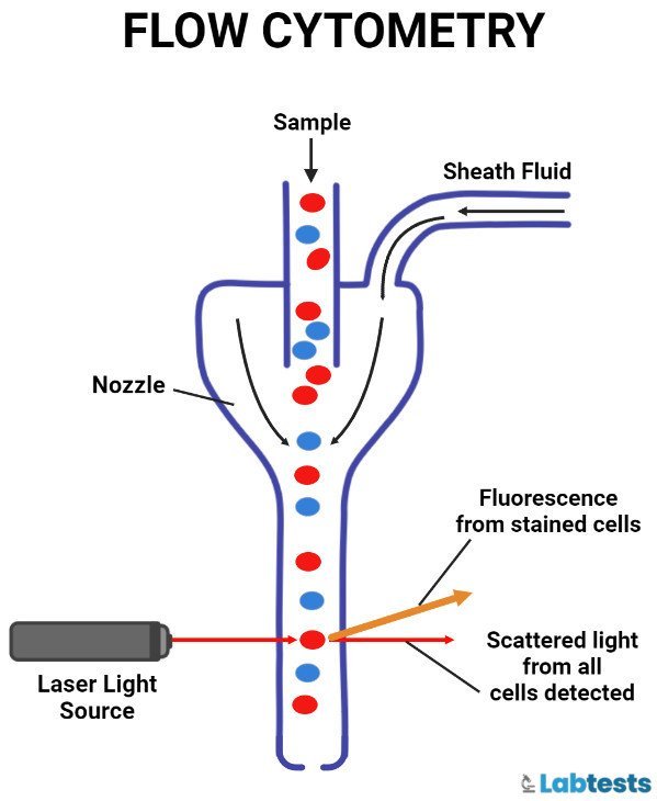 Fluorometer : Principle (Fluorometry), Types, Diagrams and Applications 4 flow cytometry diagram image