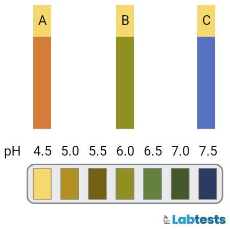 Nitrazine Paper test