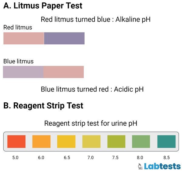 Procedure of the urine pH test using litmus paper test and reagent strip test image