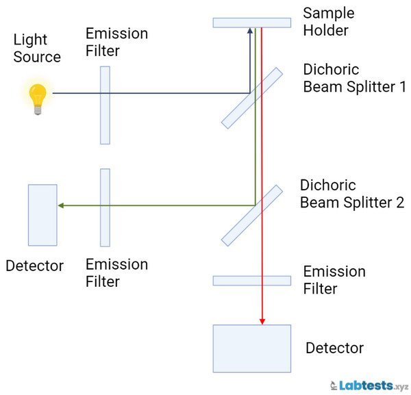 Simple fluorometer principle diagram