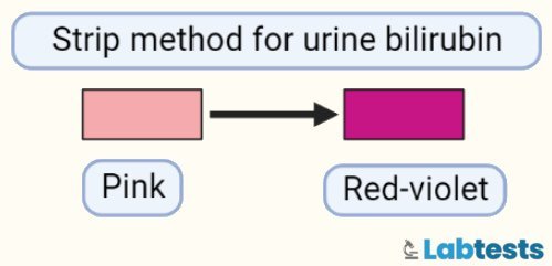 Urine bilirubin test reagent strip method